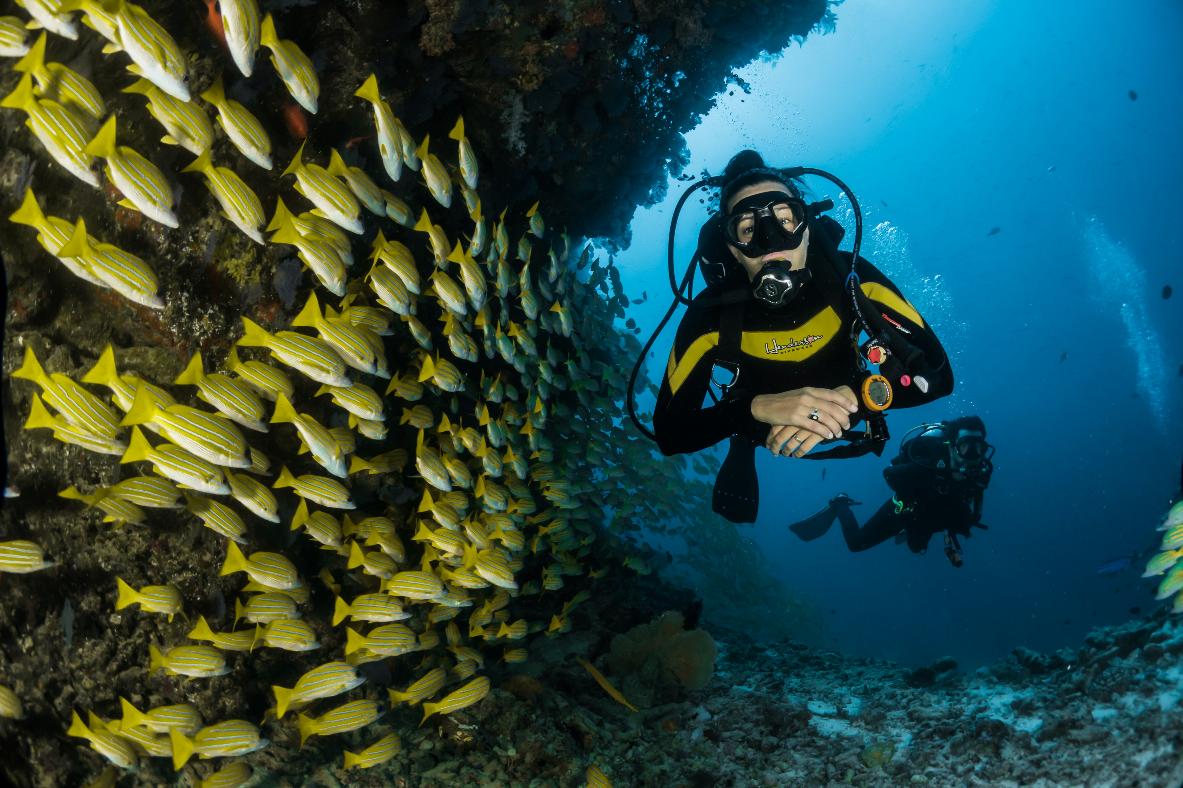 Clear marine water and reef color for a diving holiday