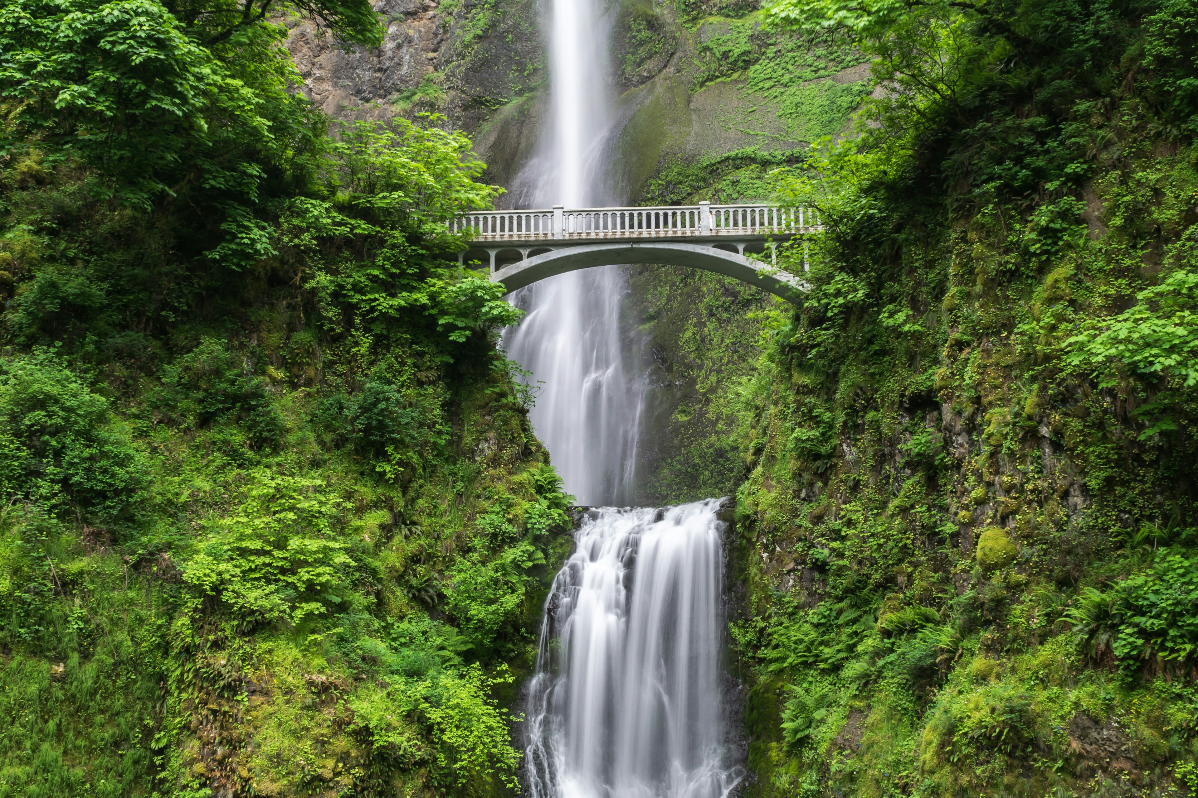 Lush forest waterfall with fresh water and green rock pools